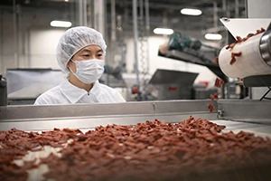 Production Process