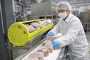 Production Process