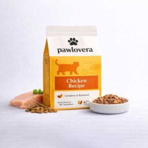 Large Kibble Dog Food